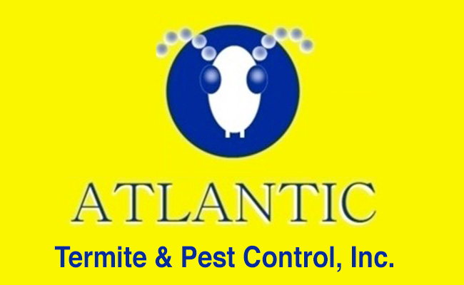 atlantic termite and pest