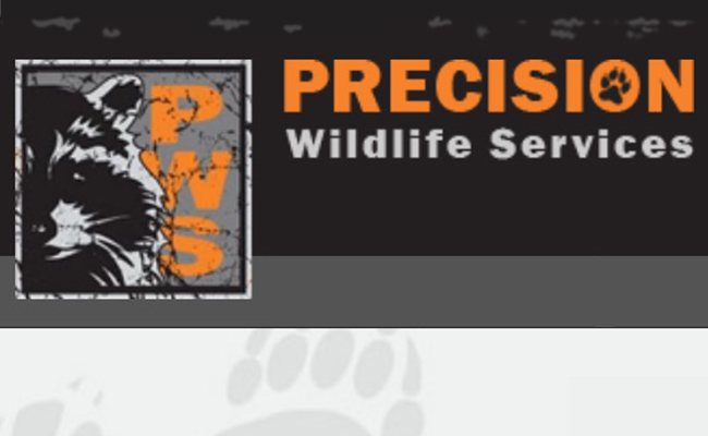 precision wildlife