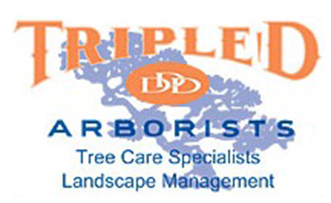 Triple D Arborists